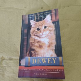 Dewey The Small-Town Library Cat Who Touched the World