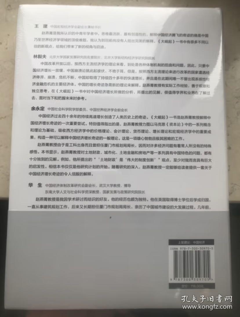 大崛起：中国经济的增长与转型（赵燕菁教授 新著，揭示城市空间战略与经济增长问题，王建、林毅夫、余永定、华生联袂推荐）