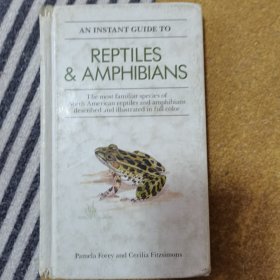An instant guide to reptiles&amphibians