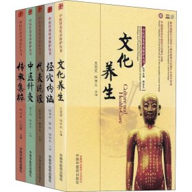中医针灸传承保护丛书 杨金生 正版图书