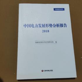 中国电力发展形势分析报告