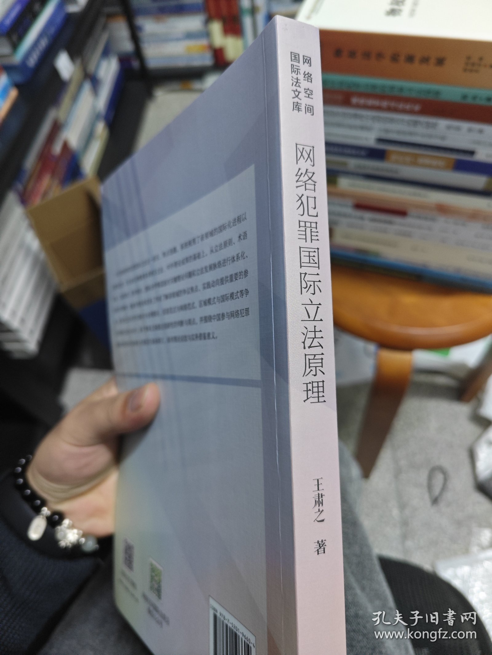 网络犯罪国际立法原理/网络空间国际法文库