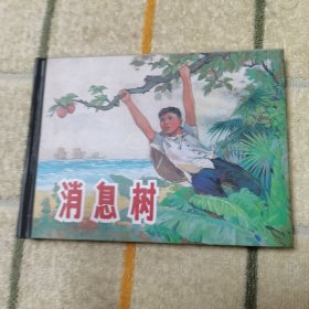 消息树