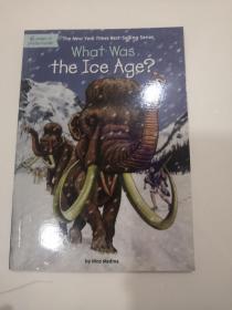 What was the Ice Age?(LMEB26927)