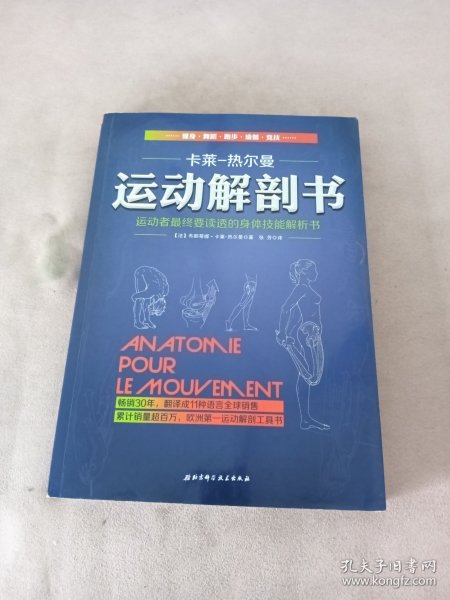 运动解剖书：运动者最终要读透的身体技能解析书