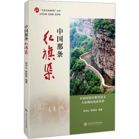 中国那条红旗渠 中国历史  新华正版