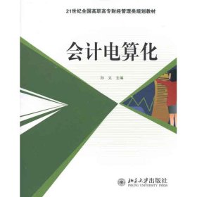 正版 会计电算化 孙义 北京大学出版社