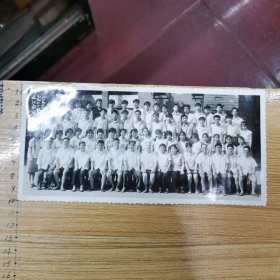 老照片：武汉市财政学校七九一二班毕业留念 八一.七.廿一、尺寸：20.5×10cm