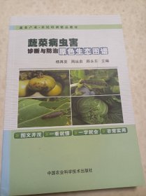 蔬菜病虫害诊断与防治原色生态图谱/蔬菜产业农民培训精品教材