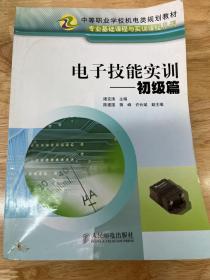 电子技能实训（初级篇）——专业基础课程与实训课程系列