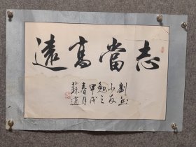 苏适（1935年6月—），男，九三学社社员，书法家。曾任中国书法家协会理事、北京市文联理事、北京书法家协会秘书长、北京市文史研究馆馆员。书法作品被收入《当代中国书法作品集》《中国书法大观》《当代中国名家书画宝鉴》，以及在日本出版的《中国当代墨宝集》等书法专集，出版专著《苏适行楷古赋六篇》。多幅书法作品被人民大会堂、国家博物馆、首都博物馆、故宫博物院、中国美术馆等收藏。