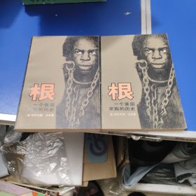 根一个美国家族的历史上下册
