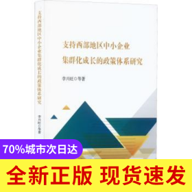 支持西部地區(qū)中小企業(yè)集群化成長的政策體系研究