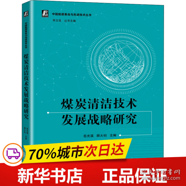 煤炭清洁技术发展战略研究