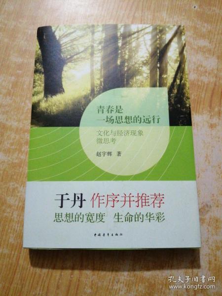 青春是一场思想的远行 : 文化与经济现象微思考