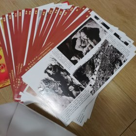 永远的旗帜光辉的历程（8开24幅宣传挂图）如图纸箱2-4