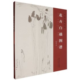 中国画素材库——花卉白描图谱