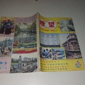 瞭望周刊1985年第39期