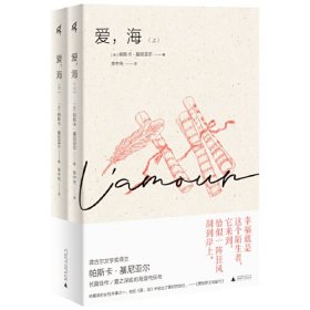 法国现代长篇小说：爱，海 （上下册）