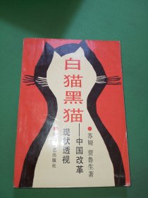 白猫黑猫:中国改革现状透视