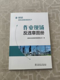 作业现场反违章图册