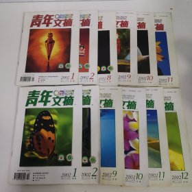 青年文摘 2002 13本合售 绿版1 2 3 9 10 11 12，红版 2002 1 2 8 9 10 11