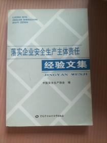 落实企业安全生产主体责任经验文集