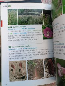 图览新疆野生植物 图览新疆野生动物（两本合售）