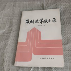 農(nóng)村改革啟示錄