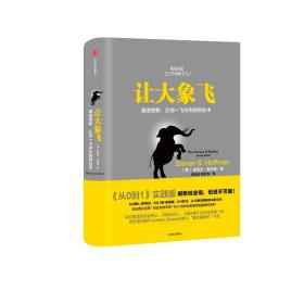 让大象飞:激进创新，让你一飞冲天的创业术