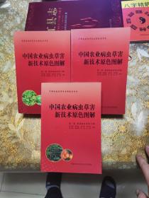 中国农业病虫草害新技术原色图解  第二卷 蔬菜病虫草害（上中下全三册）