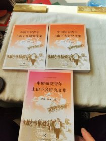 中国知识青年上山下乡研究文集（全三册）