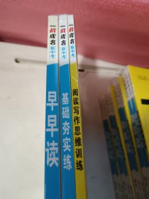 一战成名新中考总复习教案，2024年辽宁语文，全新未拆封一套，