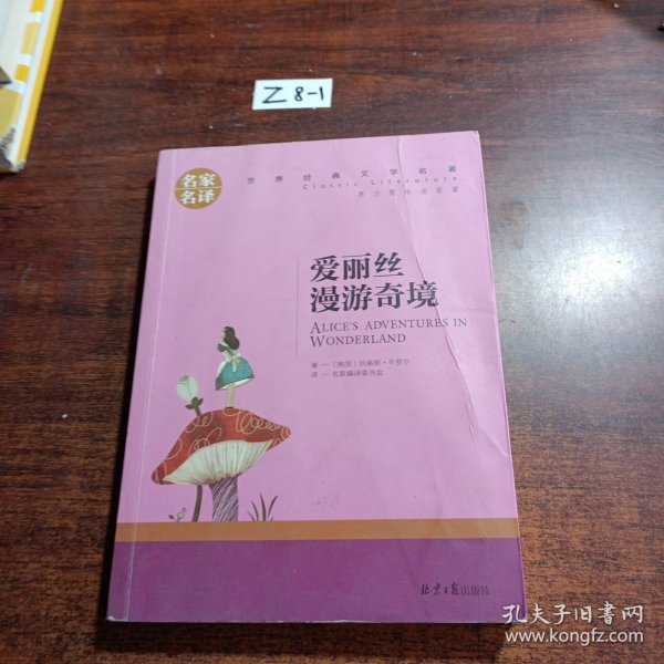 爱丽丝漫游奇境 中小学生课外阅读书籍世界经典文学名著青少年儿童文学读物故事书名家名译原汁原味读原著