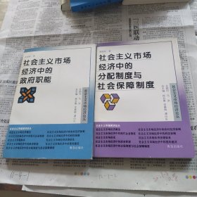 社会主义市场经济中的分配制度与社会保障制度，社会主义市场经济中的政府职能，两本合售