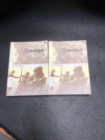 燃烧的岛群(上下)：宋宜昌二战军史小说系列