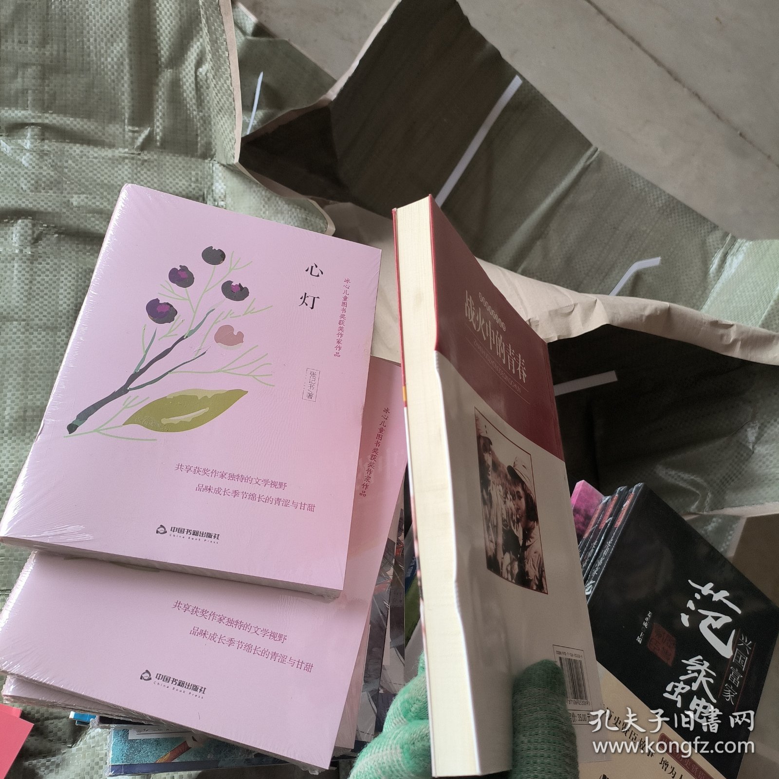 战火中的青春