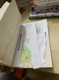 大沽河志