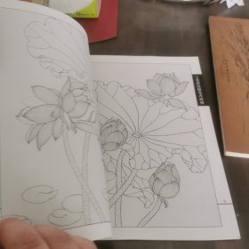 工笔画线描花卉画谱-- 荷花篇