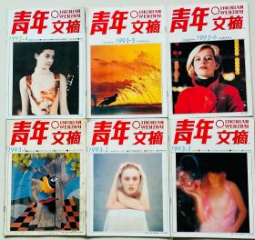 青年文摘1993.1–6