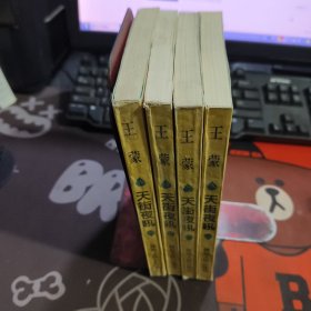 天街夜吼.中国当代名人随笔 王蒙