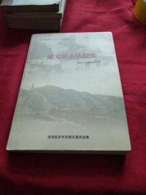 延安游击队纪实《大16开平装》