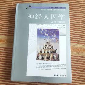 神經(jīng)人因?qū)W：工作中的腦