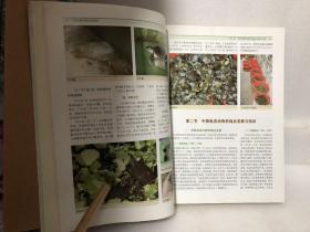 中国龟鳖养殖原色图谱（精装 大本）