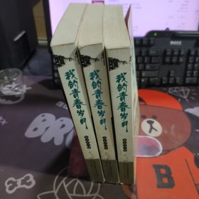 我的青春岁月（书脊有瑕疵）