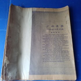 少林柔拳连环动作参考图（共六十三式）图纸版 包老