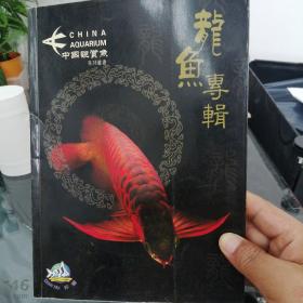 龙鱼专辑