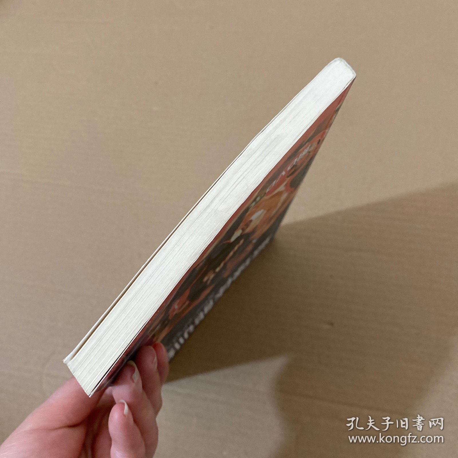 篮球体能训练 【无光盘】