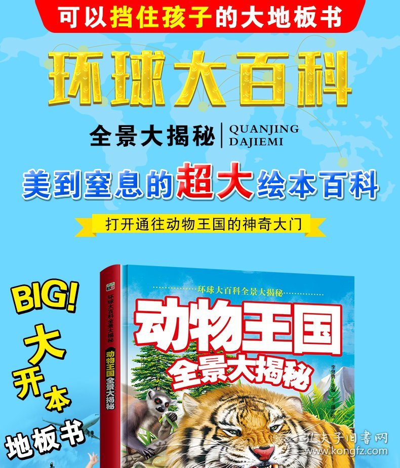 动物王国全景大揭秘