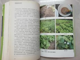 菜园里的学问：有机园艺方法